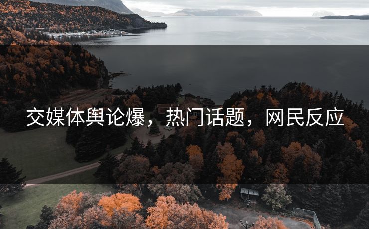 交媒体舆论爆，热门话题，网民反应