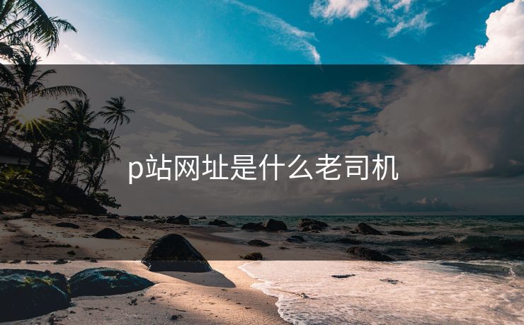p站网址是什么老司机 p站网址是什么老司机