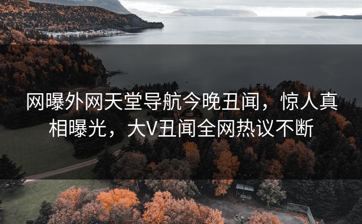 网曝外网天堂导航今晚丑闻，惊人真相曝光，大V丑闻全网热议不断