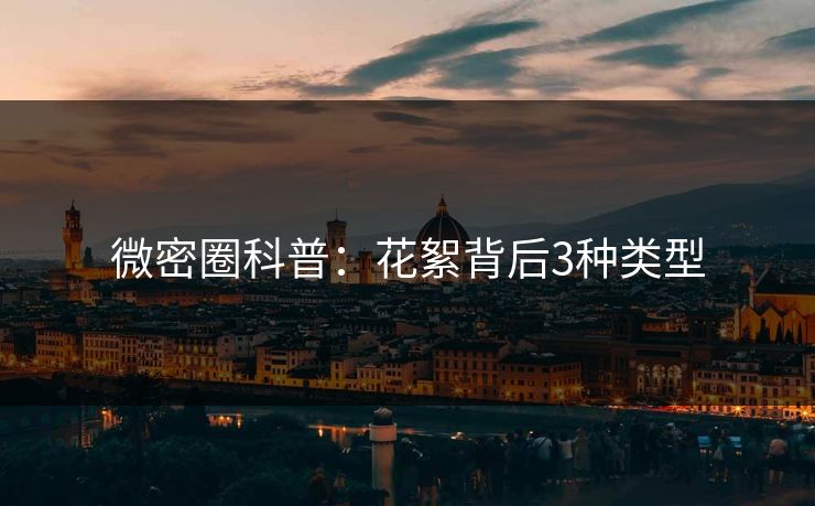 微密圈科普：花絮背后3种类型