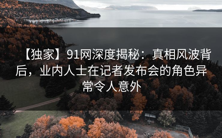 【独家】91网深度揭秘：真相风波背后，业内人士在记者发布会的角色异常令人意外