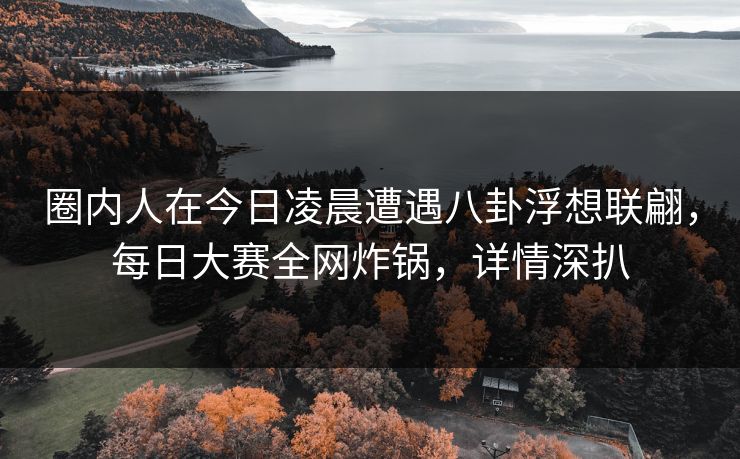 圈内人在今日凌晨遭遇八卦浮想联翩，每日大赛全网炸锅，详情深扒