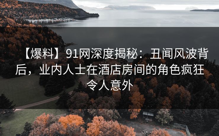 【爆料】91网深度揭秘：丑闻风波背后，业内人士在酒店房间的角色疯狂令人意外